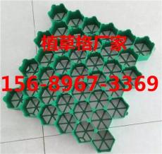 衡水塑料植草格價格 有限公司 歡迎您
