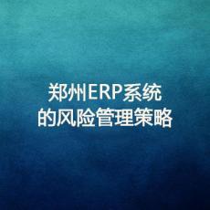 郑州ERP系统的风险管理策略 当然选择河南网