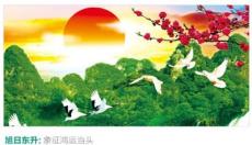 鑫達致盛鉆石畫工藝品武漢代理