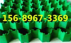 歡迎光臨/邢臺塑料植草格價格/歡迎你 邢臺
