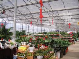 广西花卉温室工程承建单位从哪找的