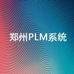 郑州PLM系统网络性能检测指标 河南网景专业