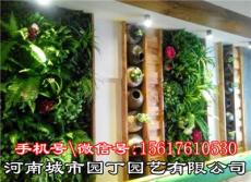 城市园丁郑州室内植物墙制作产品 城市园丁