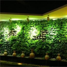 植物墙 可定制植物墙 郑州植物净化系统