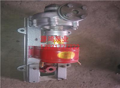 沧州源鸿泵业RY80-50-250不锈钢导热油泵