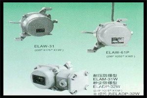 输煤系统用双向拉线开关ELAW-31