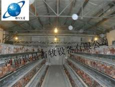 河南新型蛋鸡养殖笼市场行情丨育雏笼售后