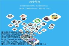 重庆手机APP开发 手机APP开发策略 重庆系统