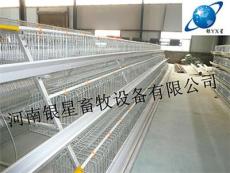 河南新型蛋鸡养殖笼售后厂家丨养鸡场育雏笼