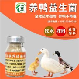 降低养鸭饲料成本的益生菌养鸭技术分析