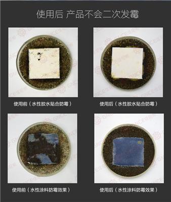 廣州佳尼斯油漆防霉抗菌劑廠家直銷