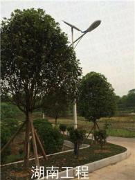 三门峡市湖滨区农村用太阳能路灯生产厂家