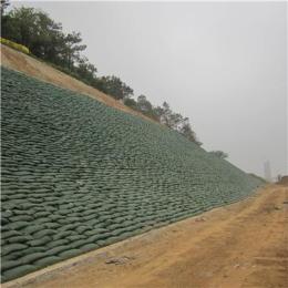 河道治理 土工布生态袋 堤坝 护坡生态袋