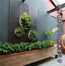 郑州酒吧绿植墙制作 立体垂直绿化 河南城市
