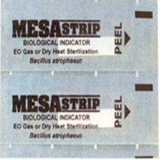 Mesalabs SGMSU/6低温蒸汽灭菌芽孢条指示剂