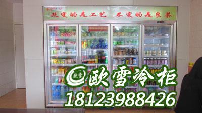 東莞冷柜冰柜批發哪里有廠家生產直銷飲料柜