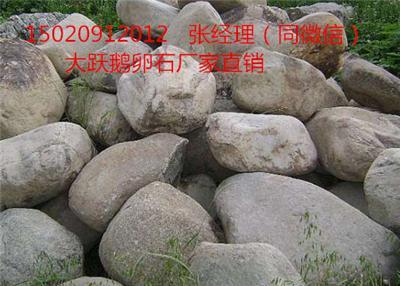 上海南汇景观石 草坪石 刻字石批发