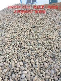 六安霍邱县鹅卵石 电厂鹅卵石5-8cm