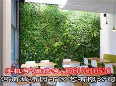郑州移动植物墙施工价格-河南城市园丁园艺