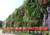 郑州移动式植物墙施工价格-河南城市园丁园