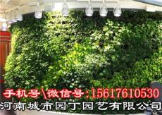 郑州小清新植物墙施工价格-河南城市园丁园
