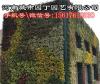 郑州小型植物墙施工价格-河南城市园丁园艺
