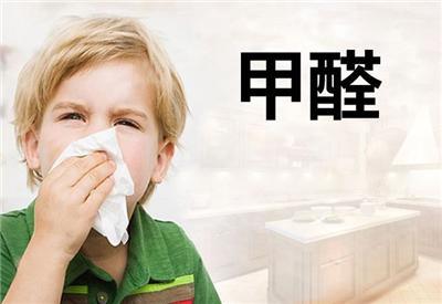 重庆室内空气净化 重庆新房除甲醛公司