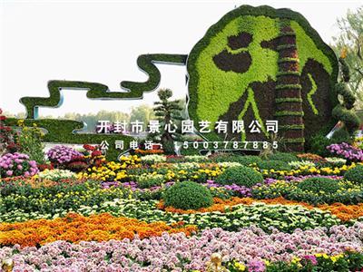 河南五色草种植批发基地 五色草造型 立体花