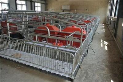 广州母猪产床厂