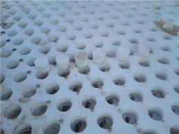 塑料冲孔板 塑料筛板 洗煤厂塑料滤水孔板