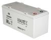 双登蓄电池6-GFMJ-65 12V65AH UPS电源