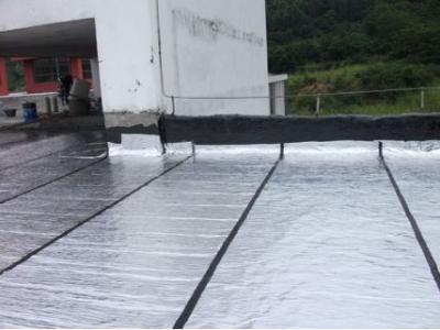 无锡新区专业屋顶防水补漏卫生间漏水维修