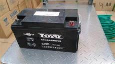 TOYO东洋蓄电池6GFM65铅酸免维护蓄电池
