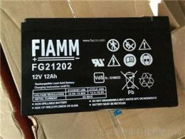 非凡蓄电池12SP7 FIAMM电池12V7AH价格