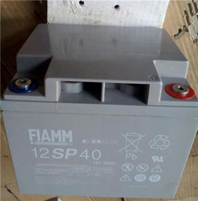 武汉FIAMM电池12SP42 12V42AH非凡电池经销