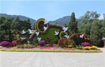 立体花坛 和平鸽 五色草造型 绿雕