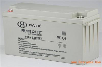 BABY鸿贝蓄电池FM/BB12135T 12V135AH固定型