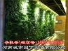 郑州背景植物墙施工报价-河南城市园丁园艺