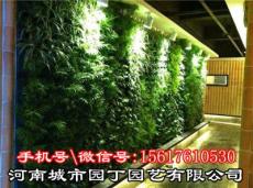 郑州背景植物墙施工报价-河南城市园丁园艺