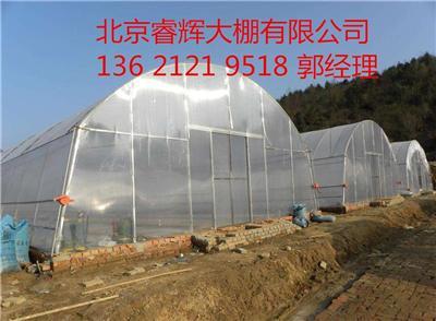 花卉大棚建设价格/品种齐全花卉大棚建设