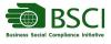 BSCI认证评审报告的等级划分