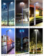 贵州遵义厂家直销LED装饰灯特色灯异形灯