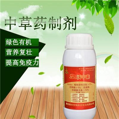 草莓炭疽病治疗-生物农药溃腐灵