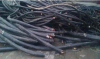 惠州回收废电缆热线面议
