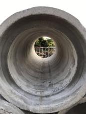 东莞水泥管筒-钢筋排水管混凝土管 国标管