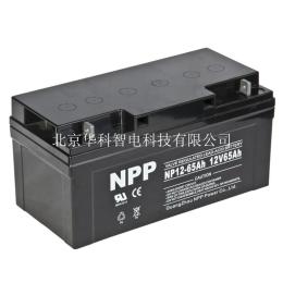 耐普蓄电池12v100ahEPS/UPS电源