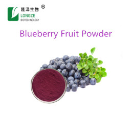 厂家优质蓝莓提取物 蓝莓果粉