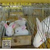 养殖兔笼批发价格