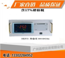虹润NHR-5920带打印控制器