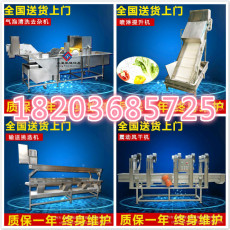 果蔬清洗切割生產(chǎn)線設(shè)備